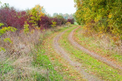 Pozemky